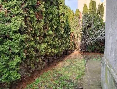 Prodaja, kuća, 200m², Zemun Gardoš, Zemun Sve Podlokacije - image 11