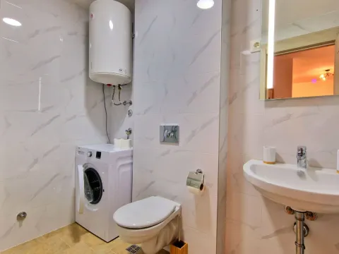 Bathroom equipped with a washbasin, toilet, washing machine, and water heater. - image 7