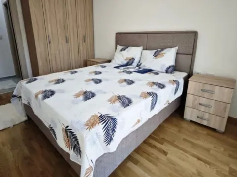 Izdavanje, dvosoban stan, 64m², Stara Varoš, Podgorica - image 4