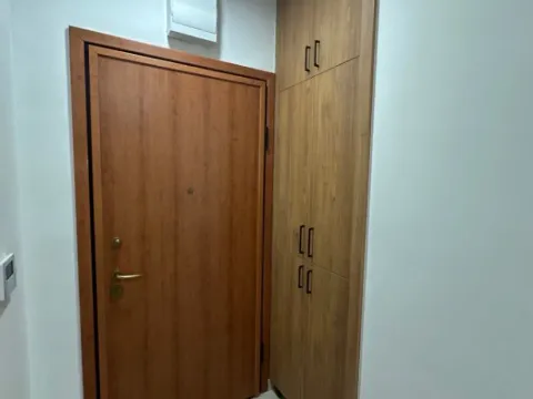 Izdavanje, jednosoban stan, 45m², Ljubović, Podgorica - image 6