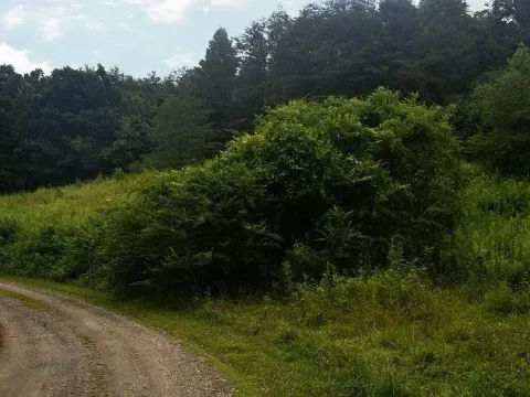 Sale, land lot, 108900m², Sela, Kolašin - image 2