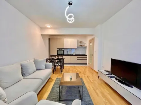 Izdavanje, jednosoban stan, 49m², Stara Varoš, Podgorica - image 1