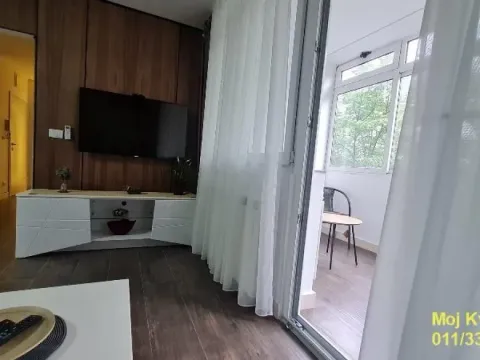 Izdavanje, dvosoban stan, 50m², Novi Beograd Sve Podlokacije, Beograd - image 3