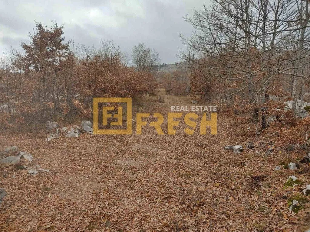Prodaja, plac, 68000m², Kuče, Podgorica