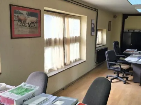 Izdavanje, poslovni prostor, 532m², Srbobran, Novi Sad - image 19