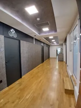 Rent, office space, 734m², Južni Bulevar, Vračar Sve Podlokacije - image 6