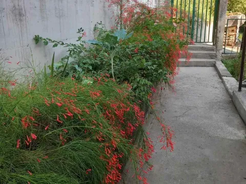 Sale, house, 160m², Igalo, Herceg Novi - image 18