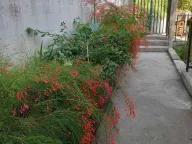 Sale, house, 160m², Igalo, Herceg Novi - image 18