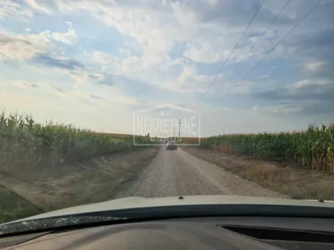 Prodaja, plac, 10000m², Mala Bosna, Subotica - image 4