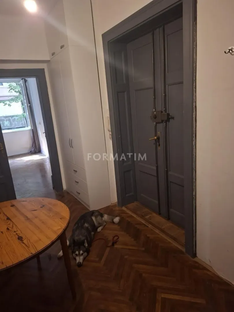 Rent, three bedroom apartment, 72m², Vračar Centar, Vračar Sve Podlokacije