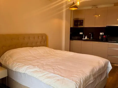 Stan-na-dan, garsonjera, 28m², Boreti, Budva - image 11