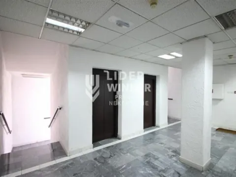 Izdavanje, poslovni prostor, 220m², Centar Sve Podlokacije, Beograd - image 12