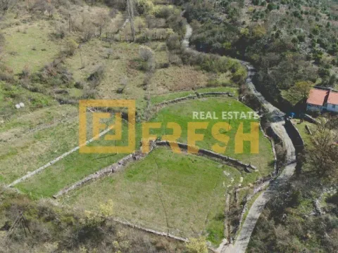 Prodaja, kuća, Ostalo, Podgorica - image 5