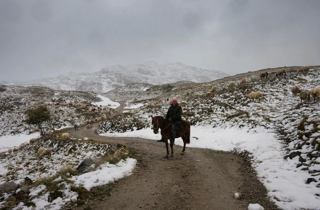 Prodaja, plac, 82000m², Dobrilovina, Mojkovac