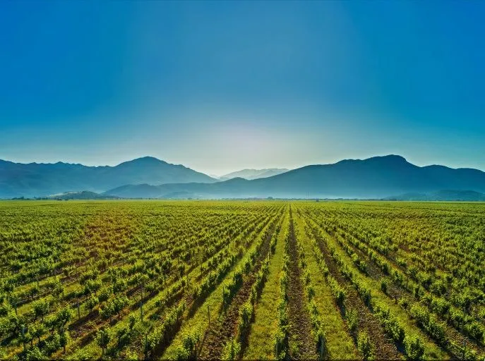 Prodaja, plac, 480m², Gornja Gorica, Podgorica