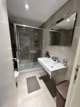 Modern bathroom with a walk-in shower, washbasin, and mirror. - image 20