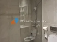 Izdavanje, dvosoban stan, 57m², Savski Venac, Beograd - image 17