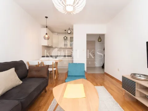 Izdavanje, jednosoban stan, 42m², Stari Aerodrom, Podgorica