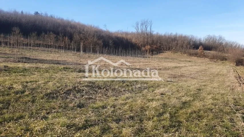 Prodaja, plac, 5718m², Sopot, Beograd