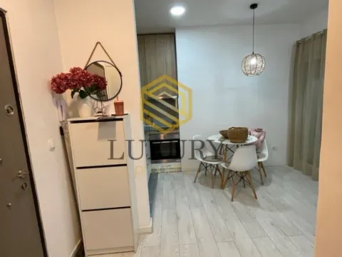 Izdavanje, garsonjera, 27m², Stari Aerodrom, Podgorica - image 2