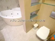 Izdavanje, kuća, 193m², Savski Venac, Beograd - image 14