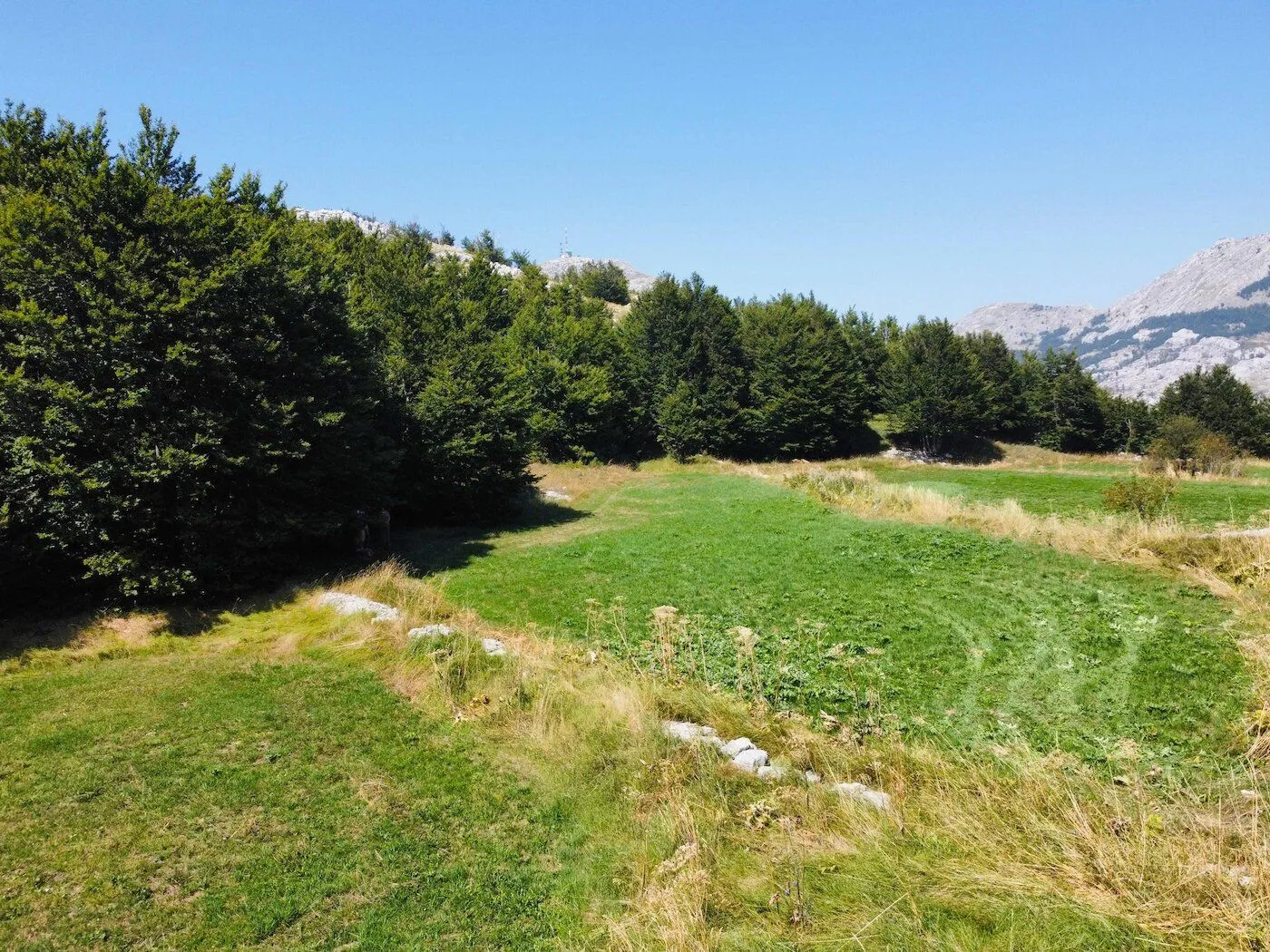 Prodaja, plac, 4269m², Ivanova Korita, Cetinje
