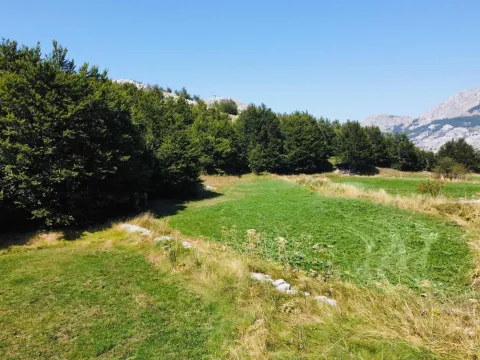 Prodaja, plac, 4269m², Ivanova Korita, Cetinje - image 4