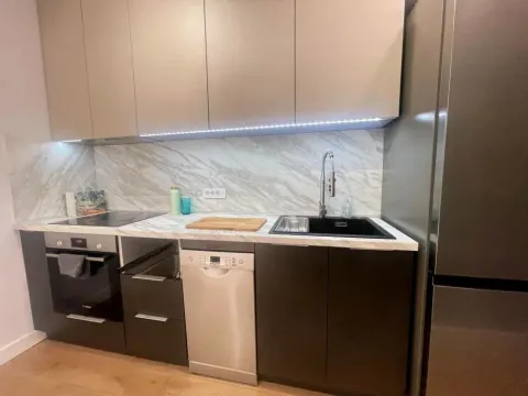 Rent, two bedroom apartment, 48m², Tašmajdan, Palilula Sve Podlokacije - image 5