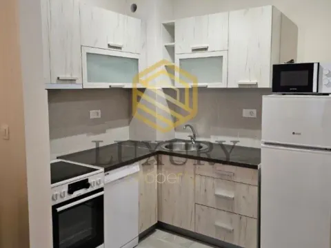 Izdavanje, jednosoban stan, 41m², Central Point, Podgorica - image 3