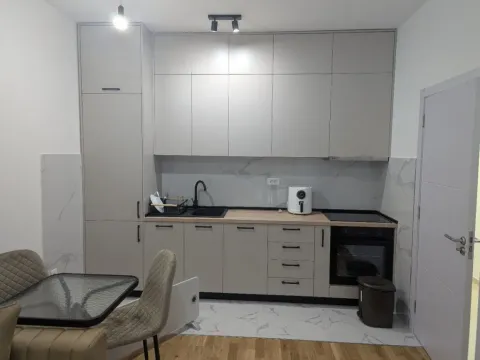 Daily-rent, one bedroom apartment, 39m², Zabjelo, Podgorica - image 11