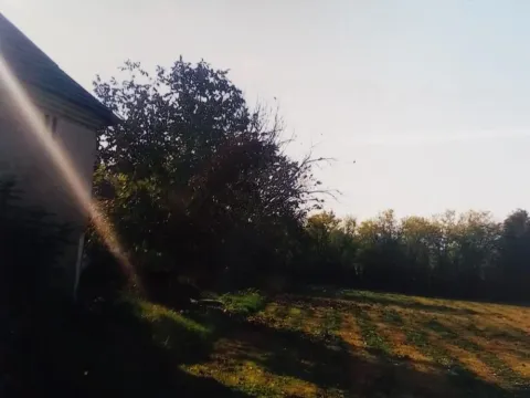 Prodaja, kuća, 52m², Krušar, Ćuprija - image 3