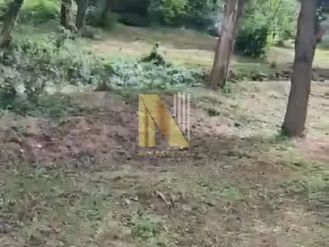 Prodaja, kuća, 160m², Rakovac, Novi Sad Sve Podlokacije - image 6