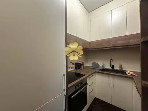 Izdavanje, dvosoban stan, 125m², Krivi Most, Podgorica - image 5