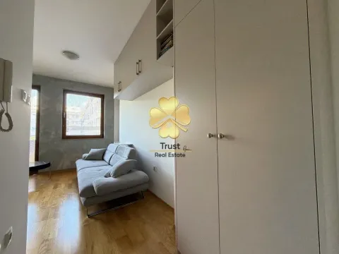 Rent, studio apartment, 30m², Preko Morače, Podgorica - image 6