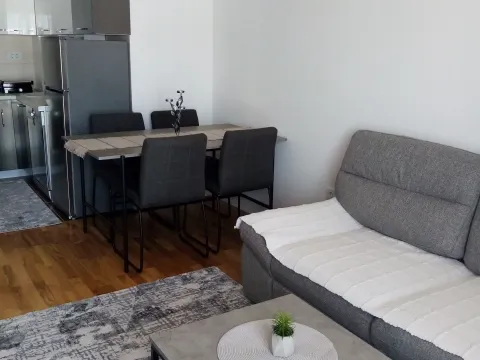 Rent, one bedroom apartment, 39m², Stari Aerodrom, Podgorica - image 4