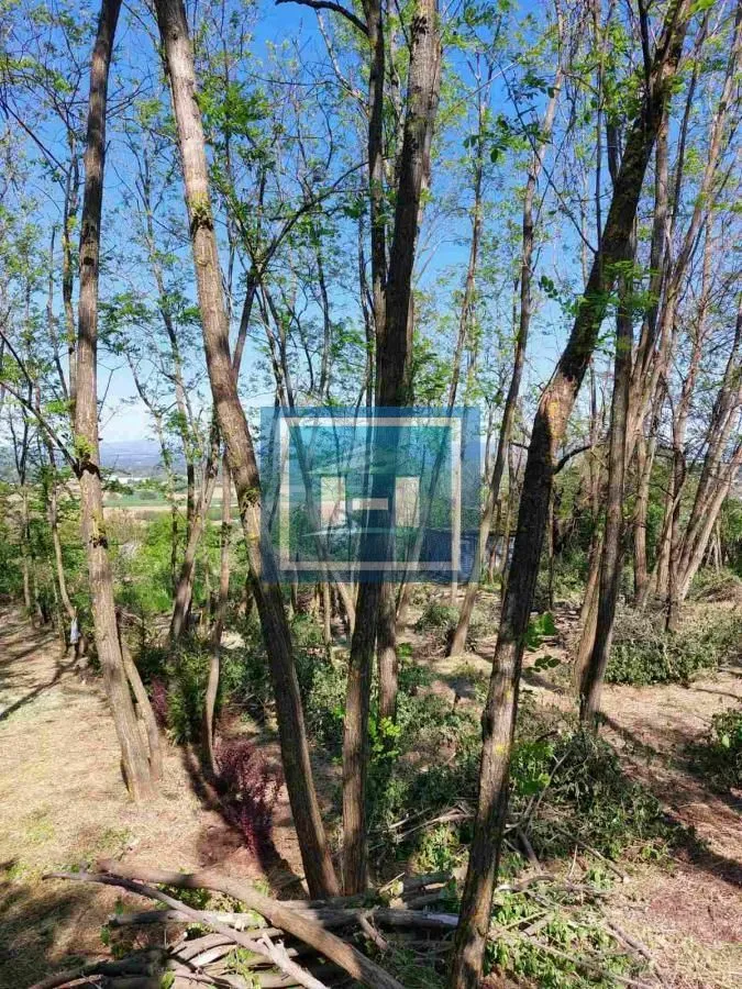 Sale, land lot, 923m², Đurđevo brdo, Jagodina