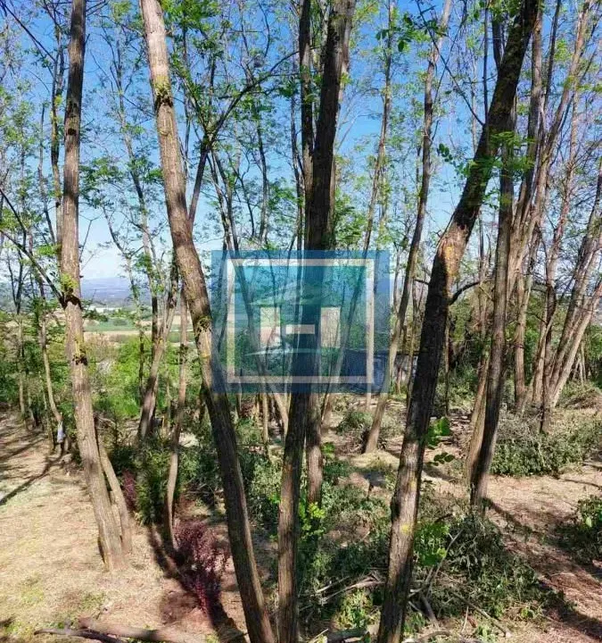 Prodaja, plac, 923m², Đurđevo brdo, Jagodina