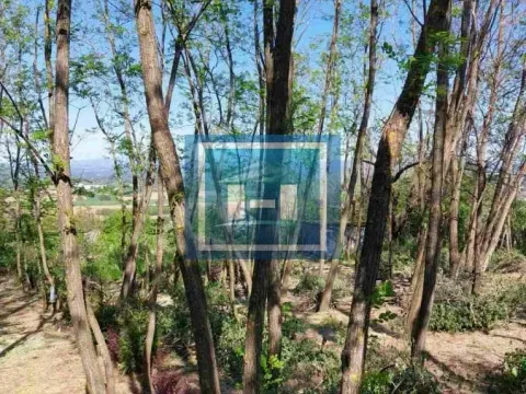 Prodaja, plac, 923m², Đurđevo brdo, Jagodina - image 6