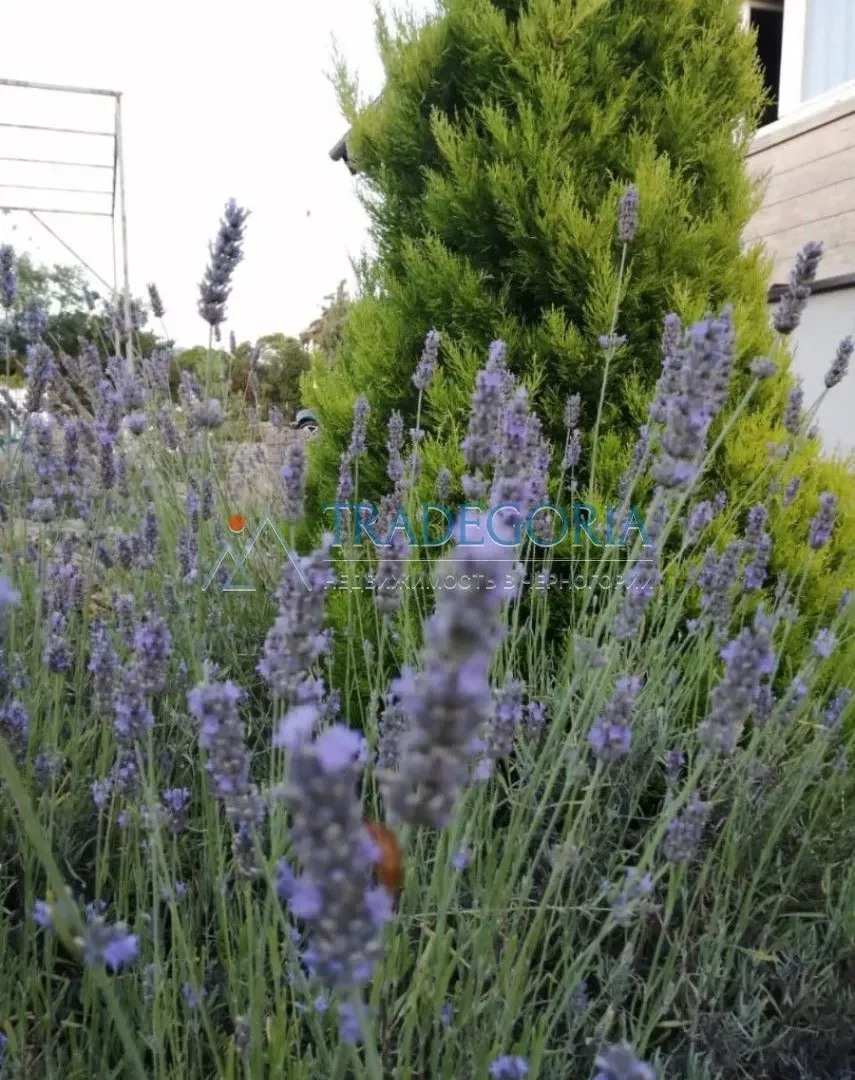 Prodaja, kuća, 94m², Budva, Crna Gora