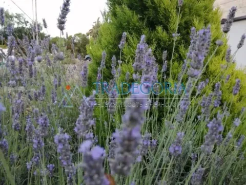 Prodaja, kuća, 94m², Budva, Crna Gora - image 21