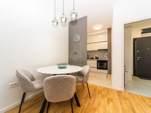 Izdavanje, jednosoban stan, 47m², Stari Aerodrom, Podgorica - image 5