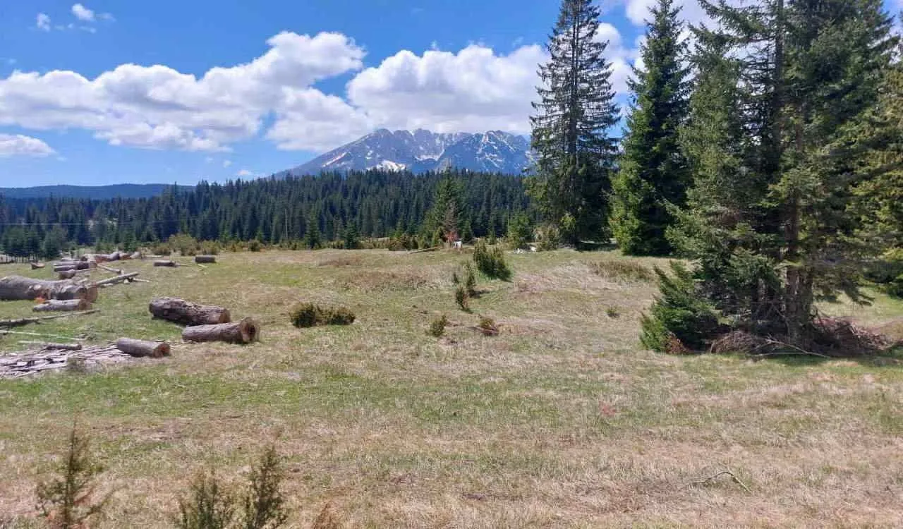Prodaja, plac, 17500m², Uskoci, Žabljak