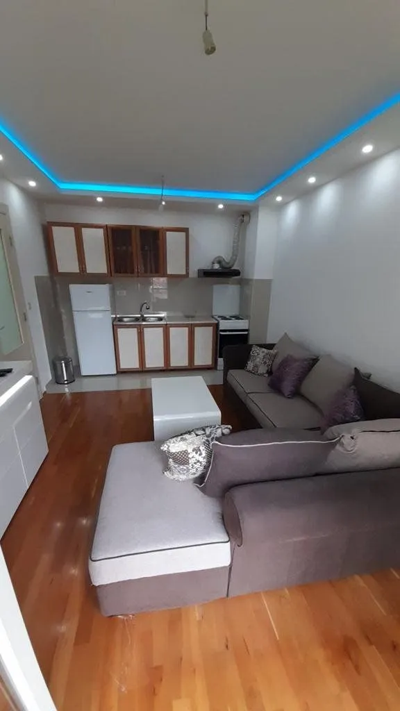 Rent, one bedroom apartment, 45m², Zabjelo, Podgorica