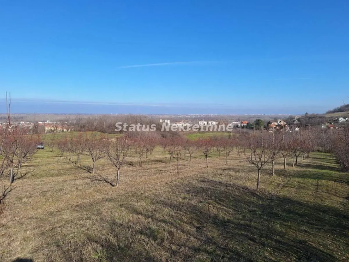 Prodaja, plac, 7500m², Beočin, Srbija