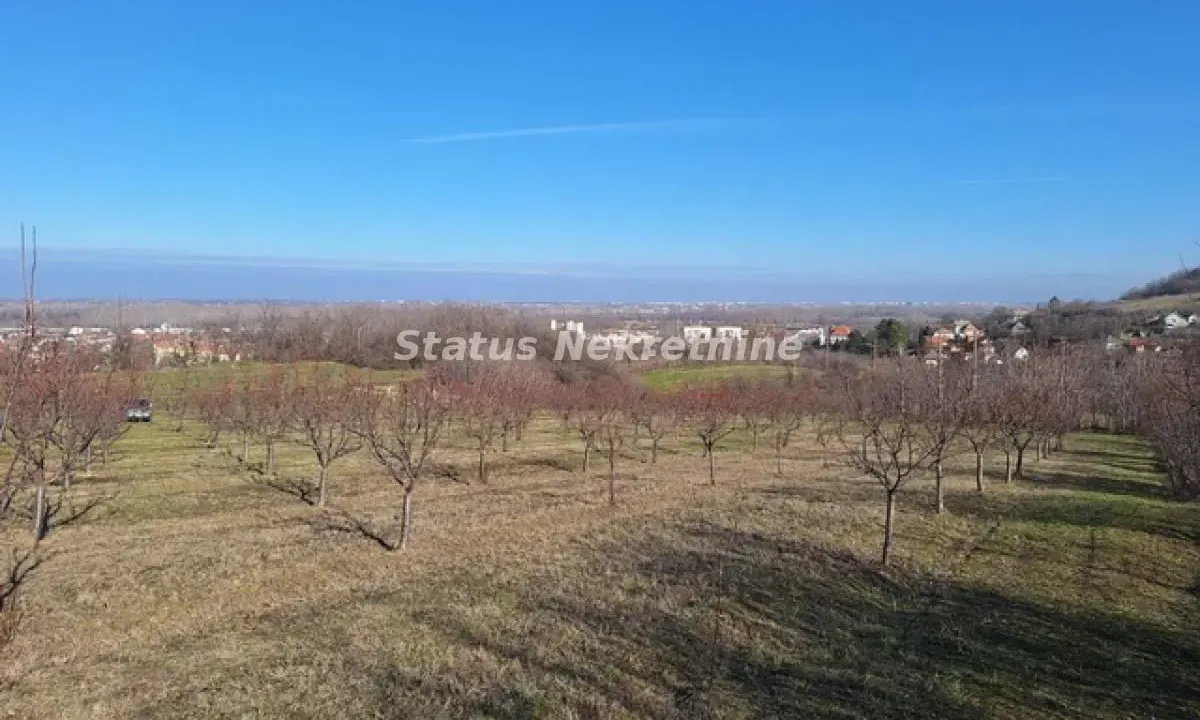 Sale, land lot, 7500m², Beočin, Srbija