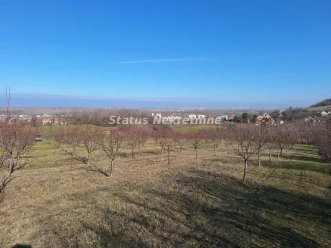 Sale, land lot, 75m², Beočin, Srbija