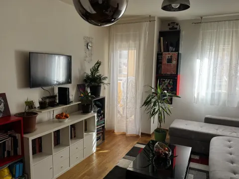 Dnevna soba sa garniturom, TV-om i policama za knjige. - image 2