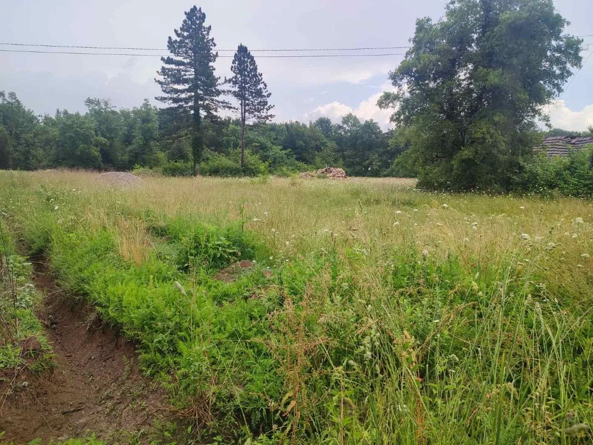 Prodaja, plac, 5000m², Ćurilac, Danilovgrad