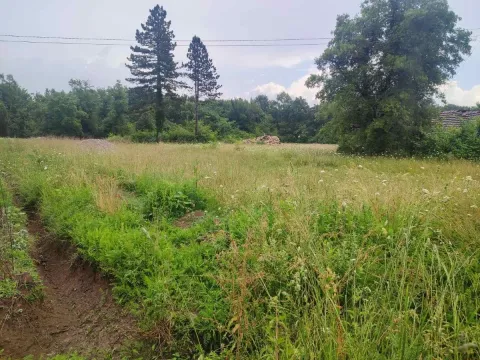 Zemljište in Ćurilac