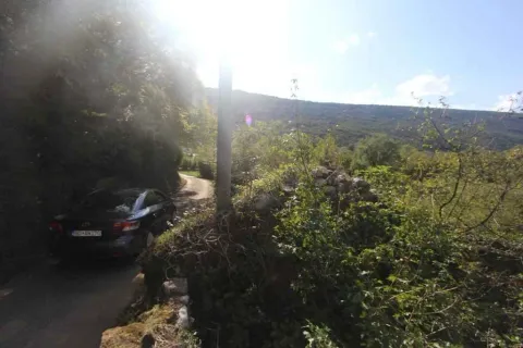 Pogled na zemljište sa prilaznim putem i okolnim zelenilom. - image 3
